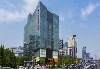 河北6公分芝麻黑