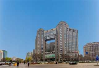海南建材厂脉冲除尘器商家
